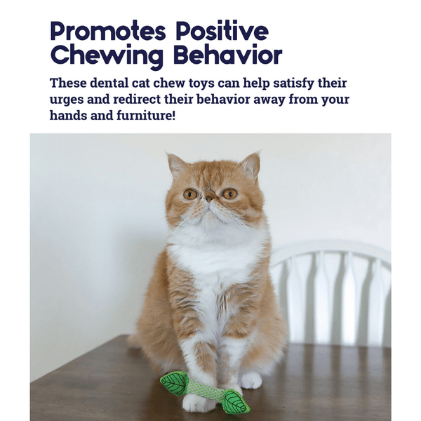 Outward Hound Fresh Breath Mint Stick for Cats