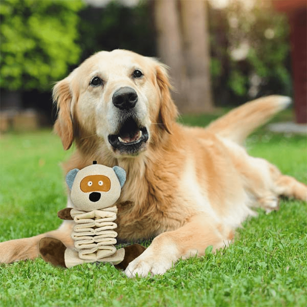 Pawsindia Enlarge the Teddy Toy for Dogs