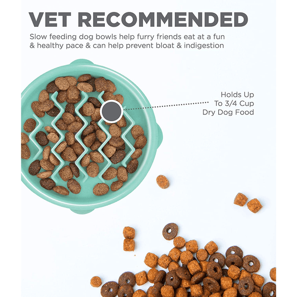 Outward Hound Fun/Slow Feeder for Dogs (Green)
