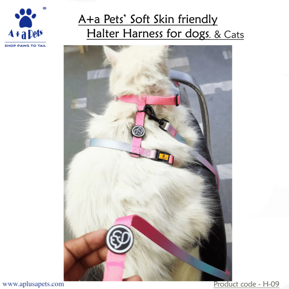 A Plus A Pets Skin Friendly Gradient Design Harness for Dogs and Cats (Pink)