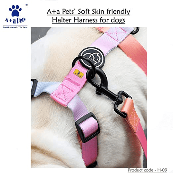 A Plus A Pets Skin Friendly Gradient Design Harness for Dogs and Cats (Pink)