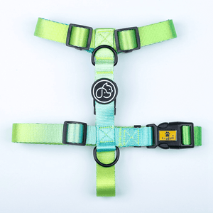 A Plus A Pets Skin Friendly Gradient Design Harness for Dogs and Cats (Green)