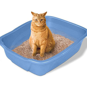 Emily Pets Rose Scented Bentonite Cat Litter