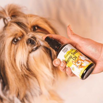 Happy Puppy Organic Hemp Oil for Dogs and Cats