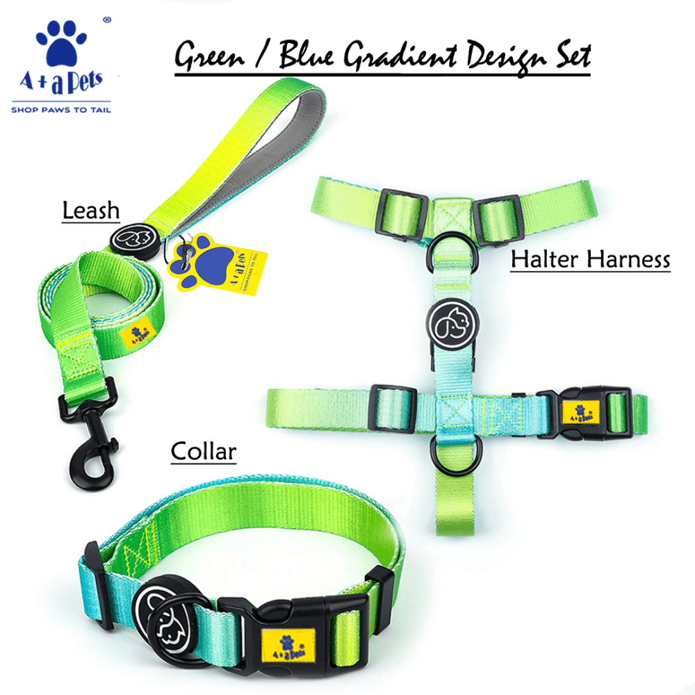 A Plus A Pets Skin Friendly Gradient Design Harness for Dogs and Cats (Green)