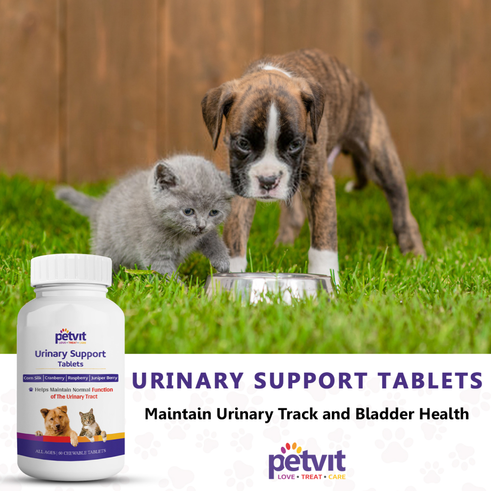 Petvit Urinary Support Tablets for Dogs and Cats