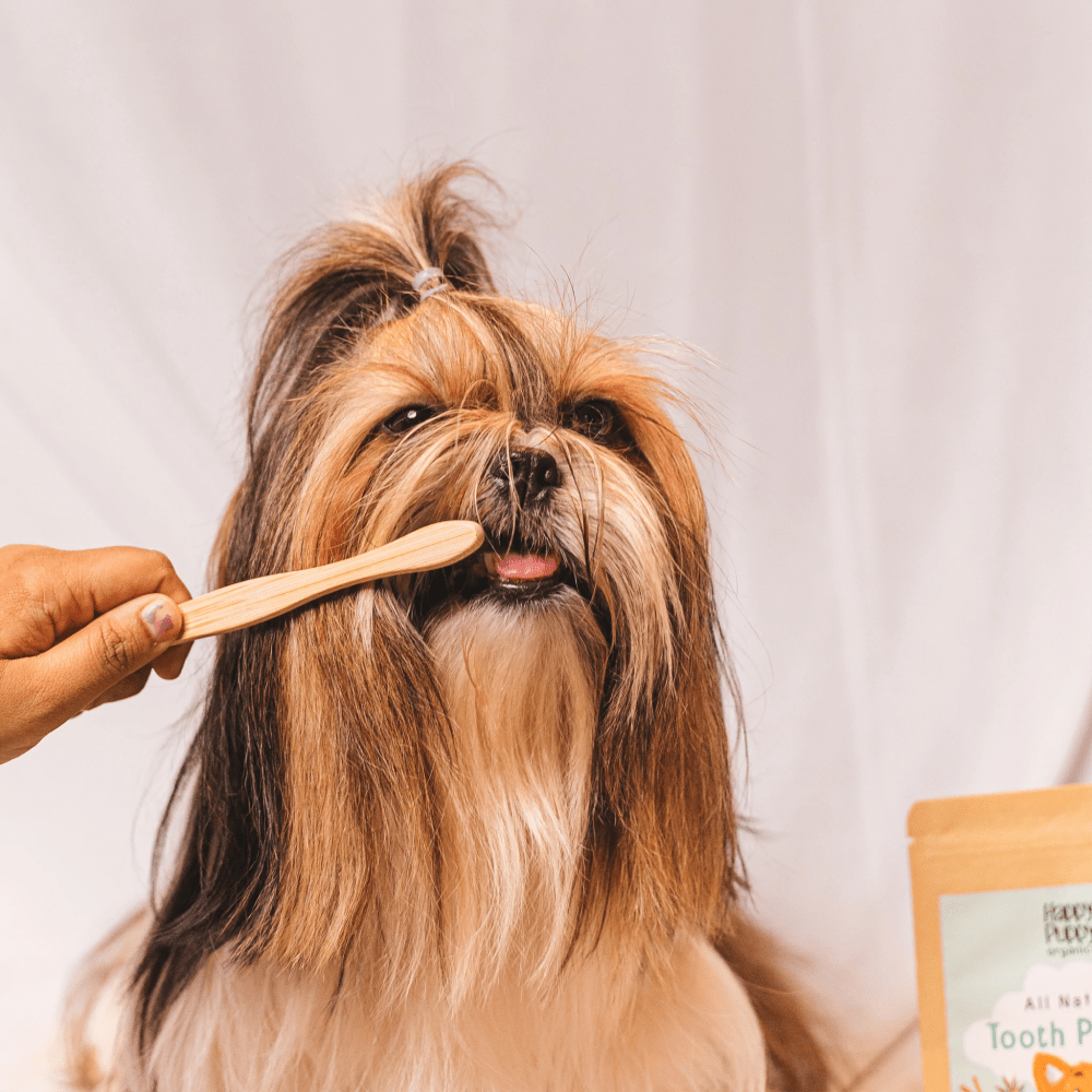 Happy Puppy Bamboo Pet Tooth Brush