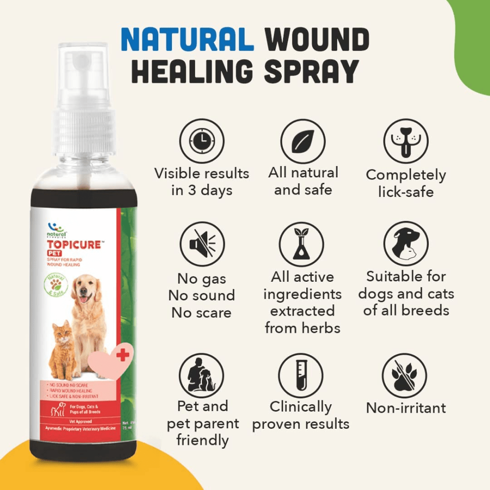 Beautiful view of Watermelon As A Natural Wound Healer For Dogs