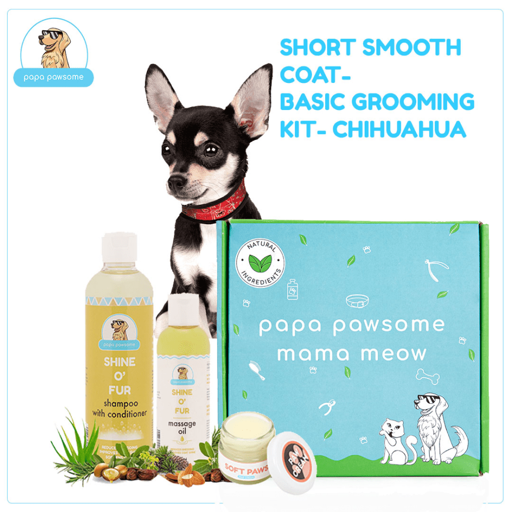 Papa Pawsome Short Smooth Coat Basic Grooming Kit (Chihuahua)