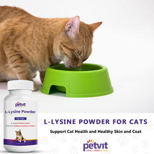 Petvit L Lysine Powder for Cats