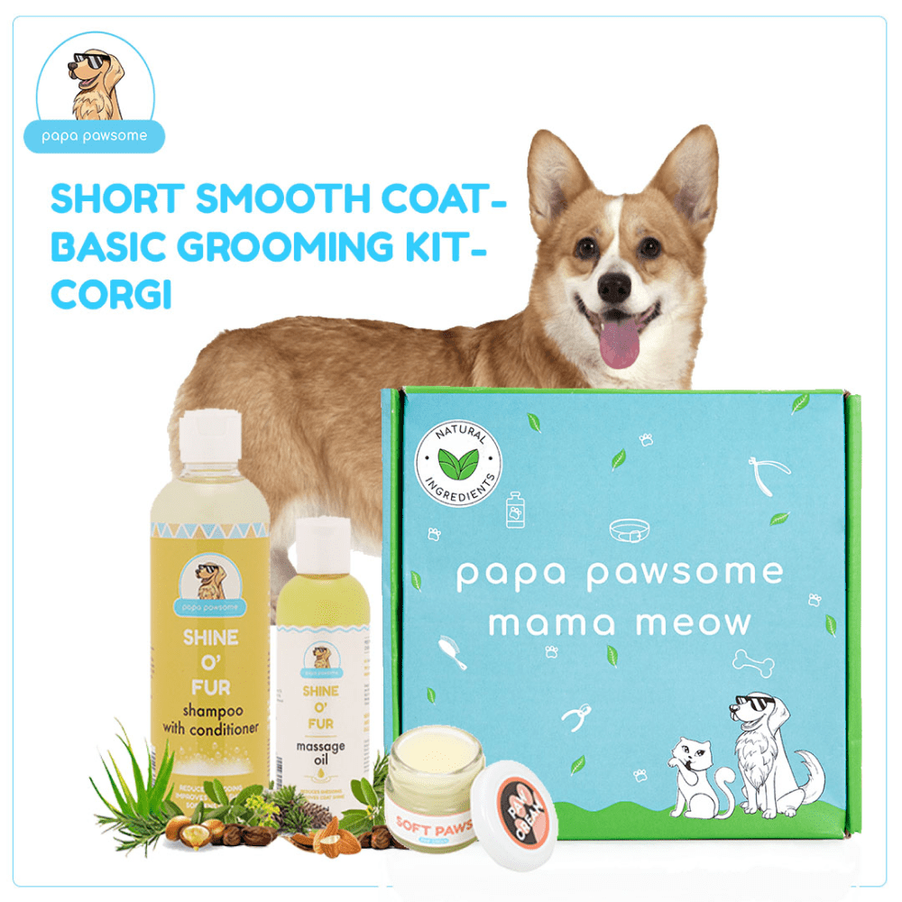 Papa Pawsome Short Smooth Coat Basic Grooming Kit (Corgi)