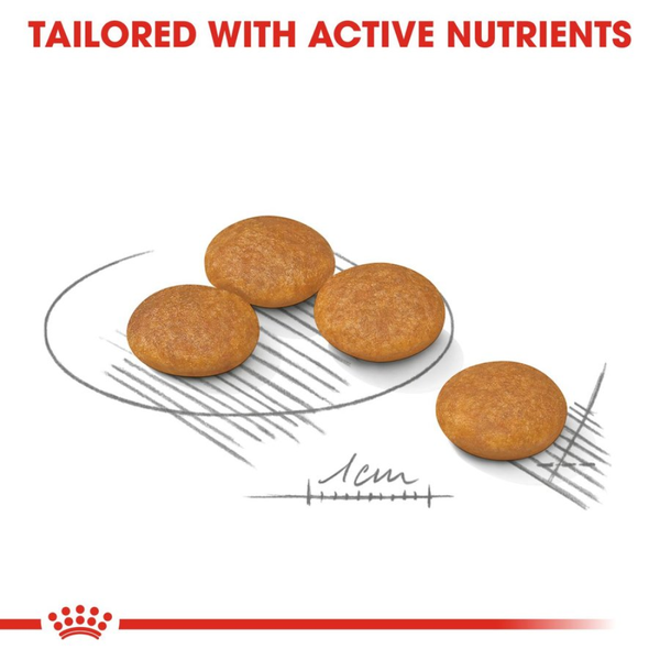 Royal Canin Mini Dermacomfort Dog Dry Food