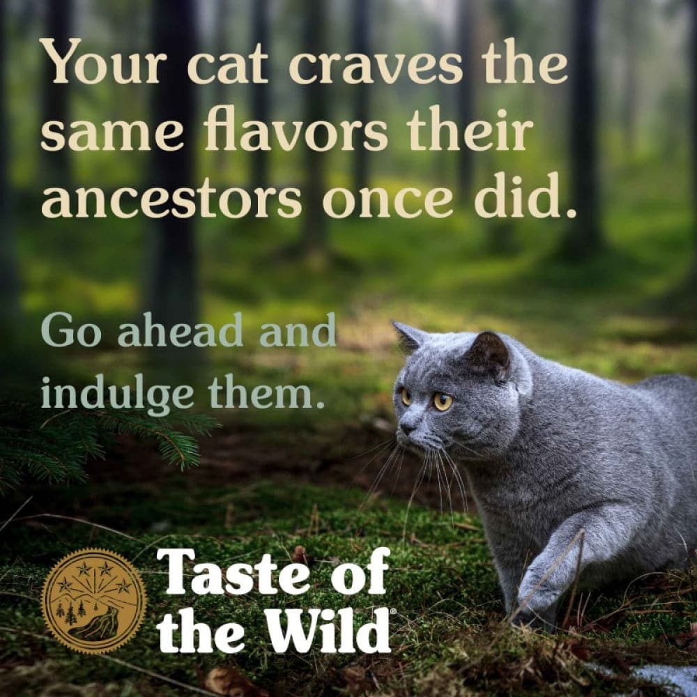 Taste of the Wild Canyon River Feline Recipe with Trout & Smoked Salmon Cat Dry Food