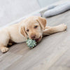 Trixie Mini Dumbbell Latex Toy for Dogs Dogs-Toys Trixie