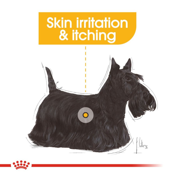 Royal Canin Mini Dermacomfort Dog Dry Food