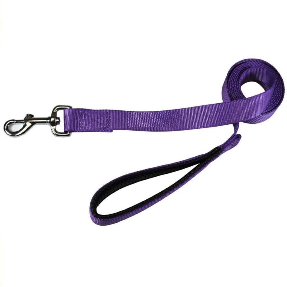 Glenand Petz Pure Nylon Padded Leash for Dogs (Purple)