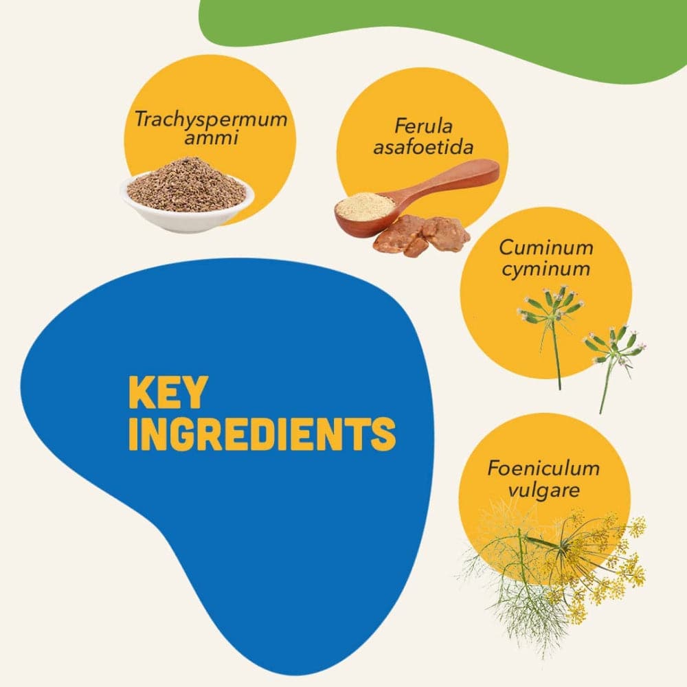 Natural Remedies Digestive Bites Chew Treats for Dogs (Limited Shelf Life) Dog Treats + Others Natural Remedies