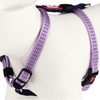 GiGwi Classic Line Harness for Dogs (Purple)