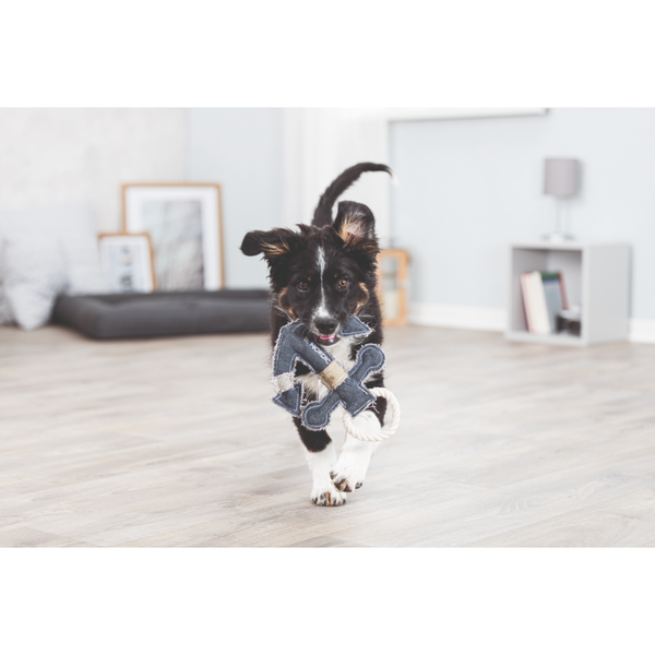 Trixie Be Nordic Anchor Toy for Dogs