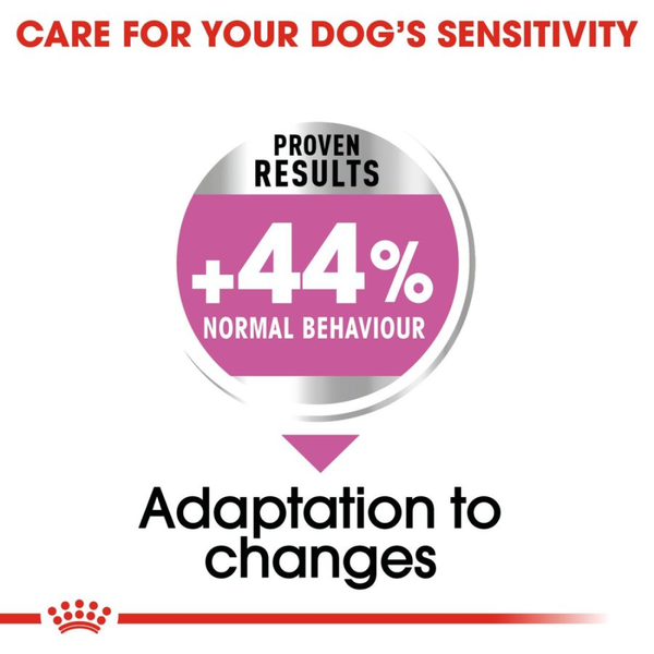 Royal Canin Mini Relax Care Dog Dry Food