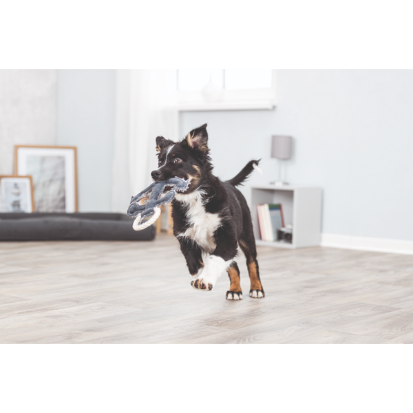 Trixie Be Nordic Anchor Toy for Dogs