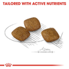 Royal Canin Mini Relax Care Dog Dry Food