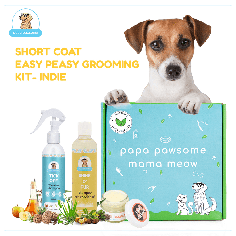 Papa Pawsome Short Coat Easy Peasy Grooming Kit (Indie)