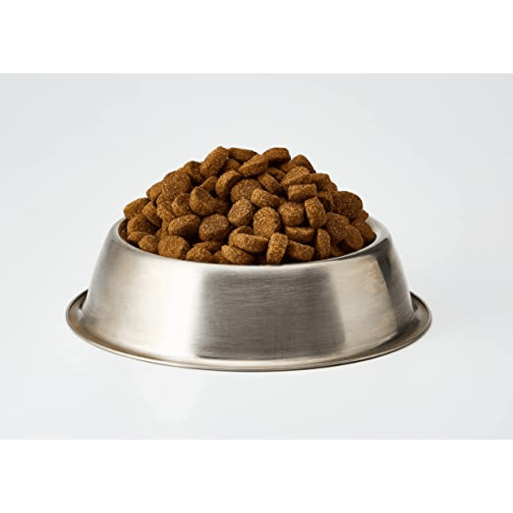 Acana Large Breed Puppy Dry Food Dogs- Dry Food Acana