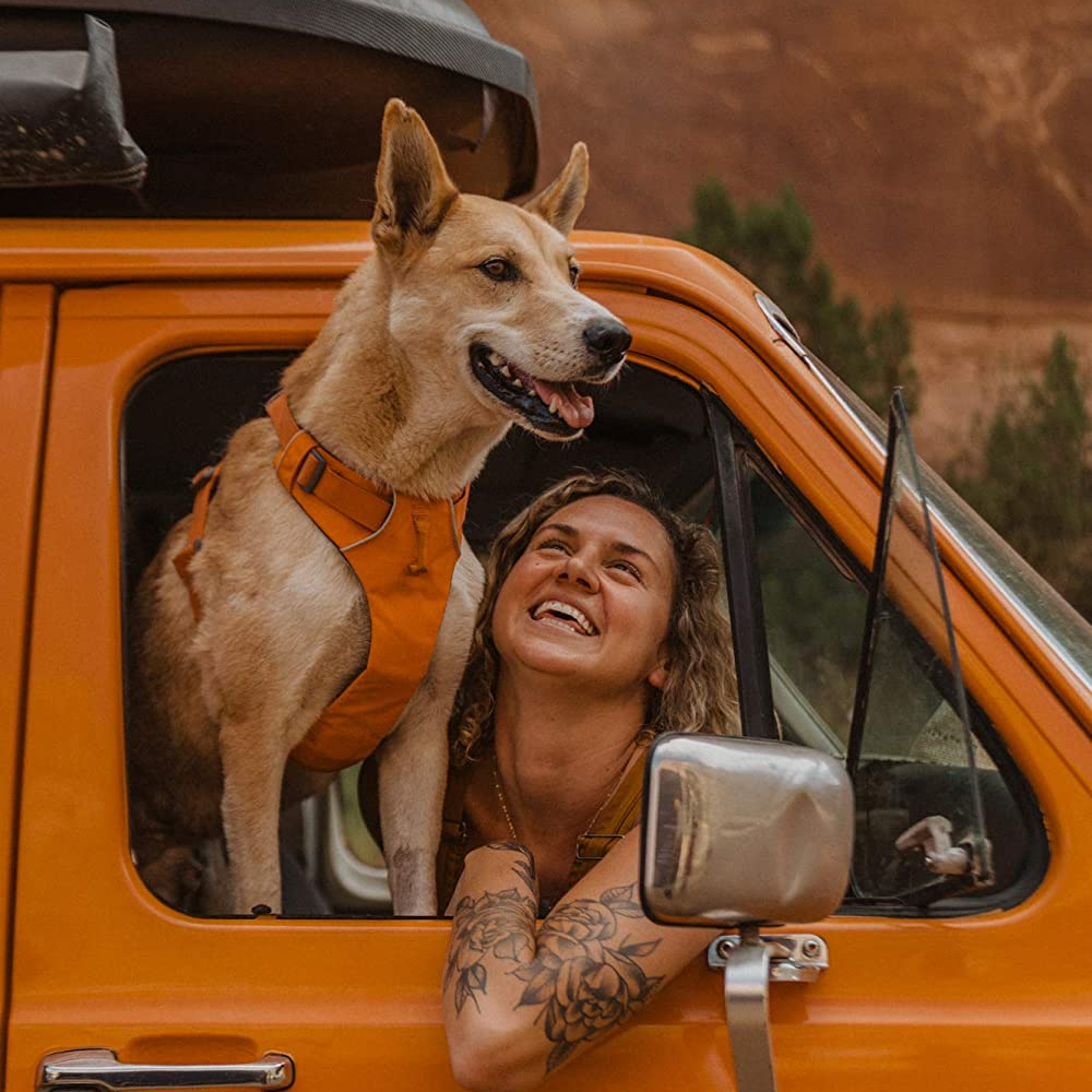 Ruffwear Front Range Harness for Dogs (Campfire Orange)