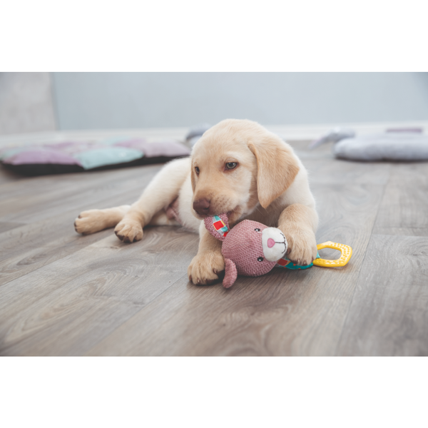 Trixie Junior Bunny Toy for Dogs