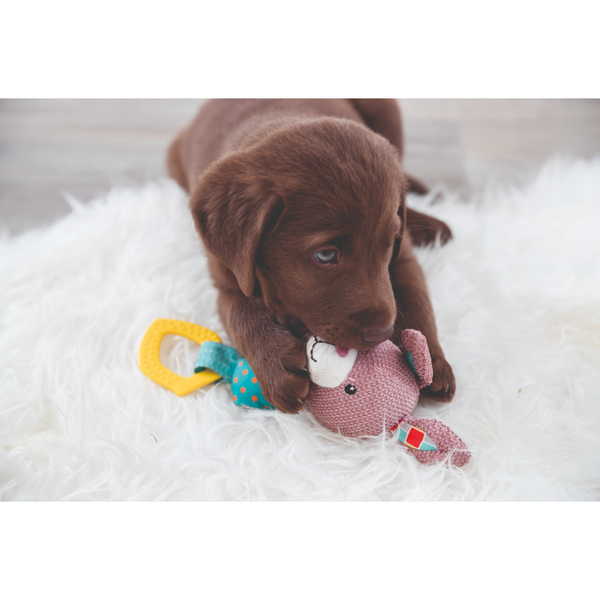 Trixie Junior Bunny Toy for Dogs