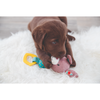 Trixie Junior Bunny Toy for Dogs