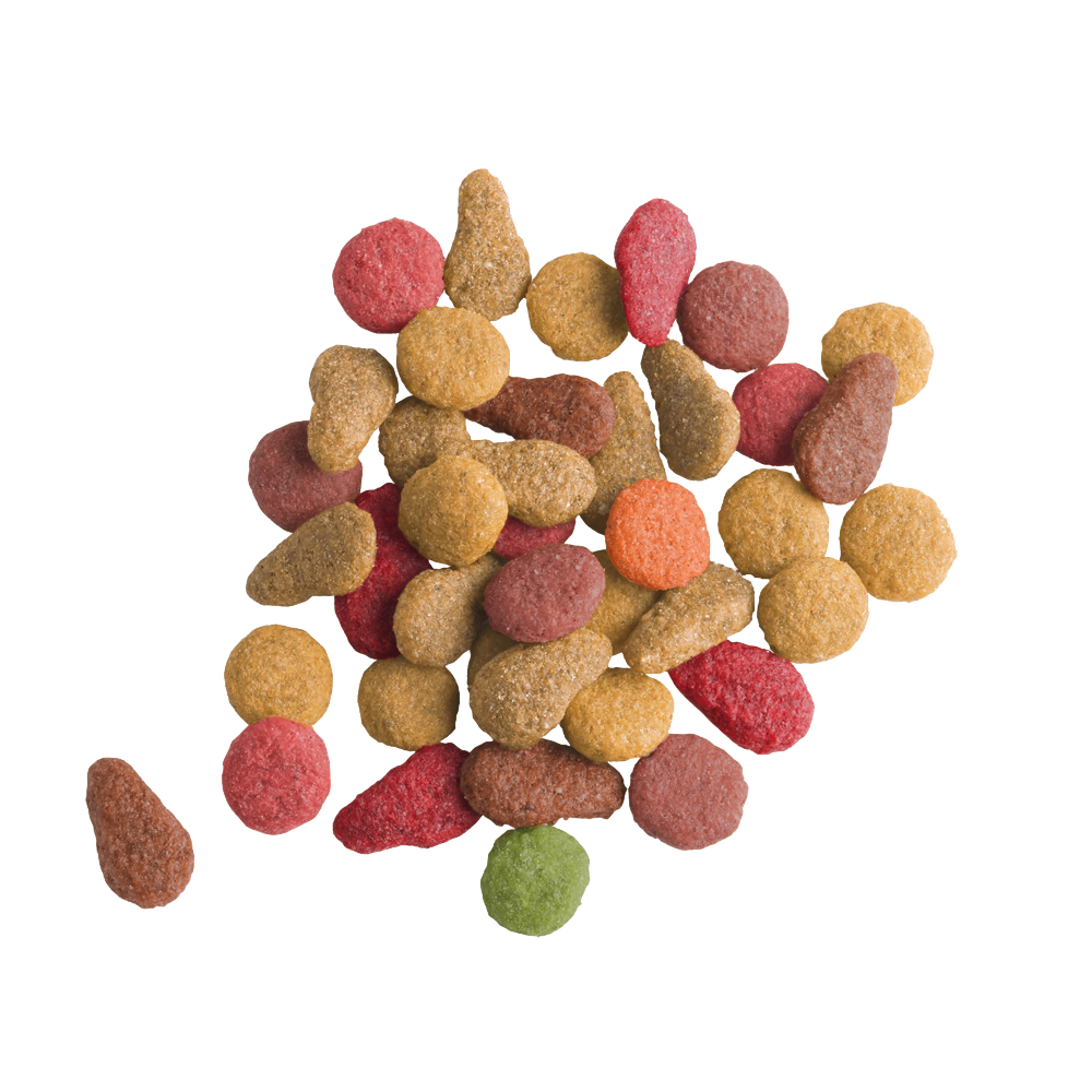 Versele Laga Lara Salmon Adult Cat Dry Food Cats- Dry food Versele Laga