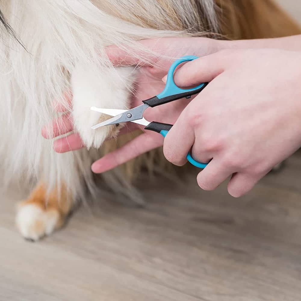 Trixie Face & Paw Scissors for Dogs and Cats