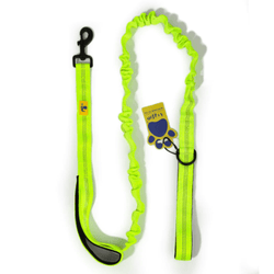 A Plus A Pets Dual Handle Bungee Leash for Dogs (Green)