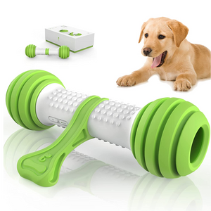 Pet Geek Playbone Toy for Dogs (White/Green)