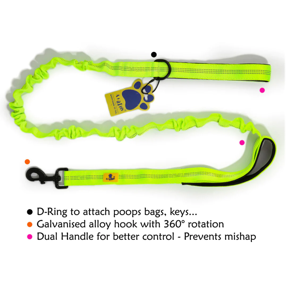 A Plus A Pets Dual Handle Bungee Leash for Dogs (Green)