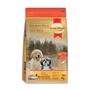 SmartHeart Gold Salmon Meal & Rice Puppy Dry Food