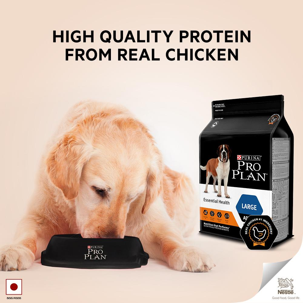 Pro Plan Chicken Large Adult Dry Dog Food