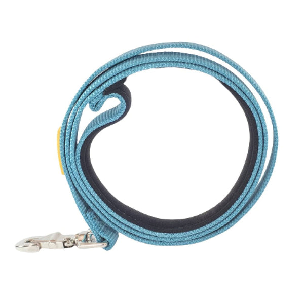 Glenand Padded Collar for Dogs (Light Blue)