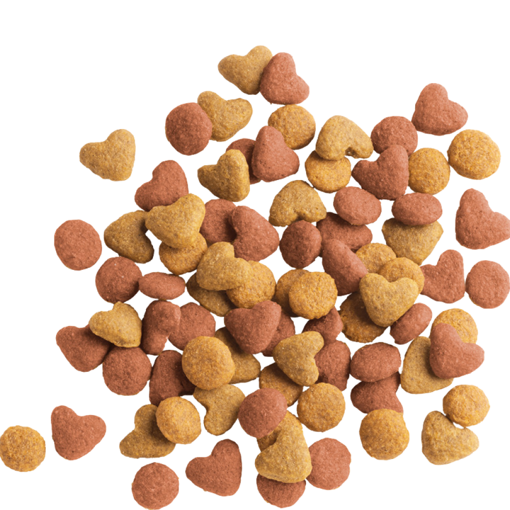 Versele Laga Lara Chicken Kitten Dry Food Cats- Dry food Versele Laga