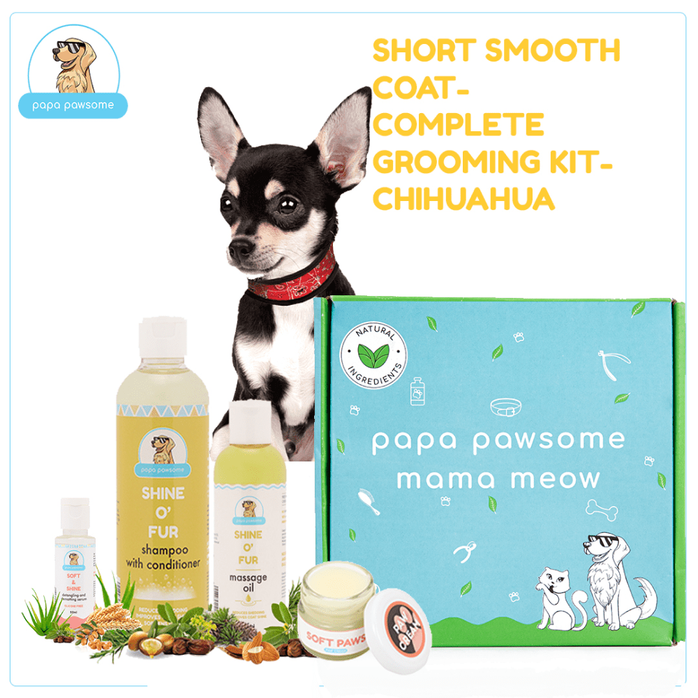 Papa Pawsome Short Smooth Coat Complete Grooming Kit (Chihuahua)