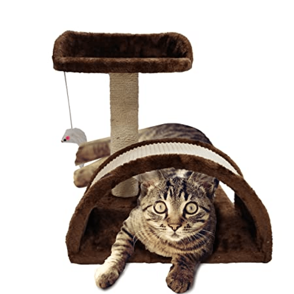 Emily Pets Cat Tree Scratching Post for Kittens & Cats (Black)