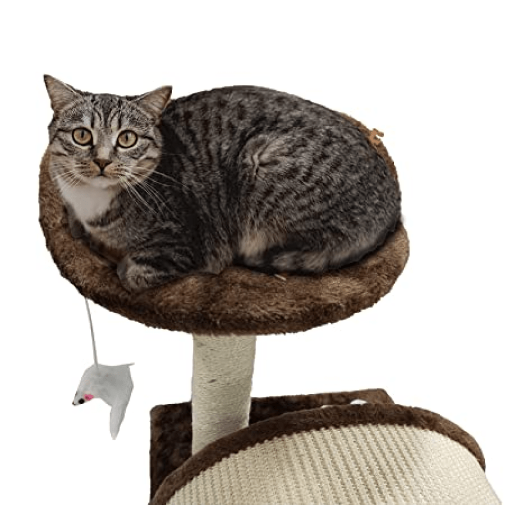 Emily Pets Cat Tree Scratching Post for Kittens & Cats (Black)