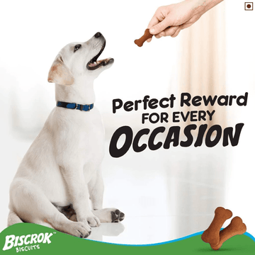 Pedigree Chicken Flavour Biscrok Dog Biscuits Dog Treats (500g)