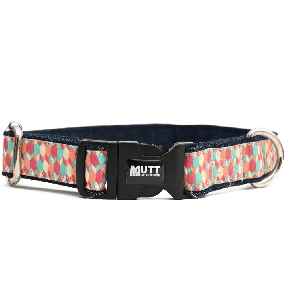 Mutt of Course Candy Barr Dog Collar