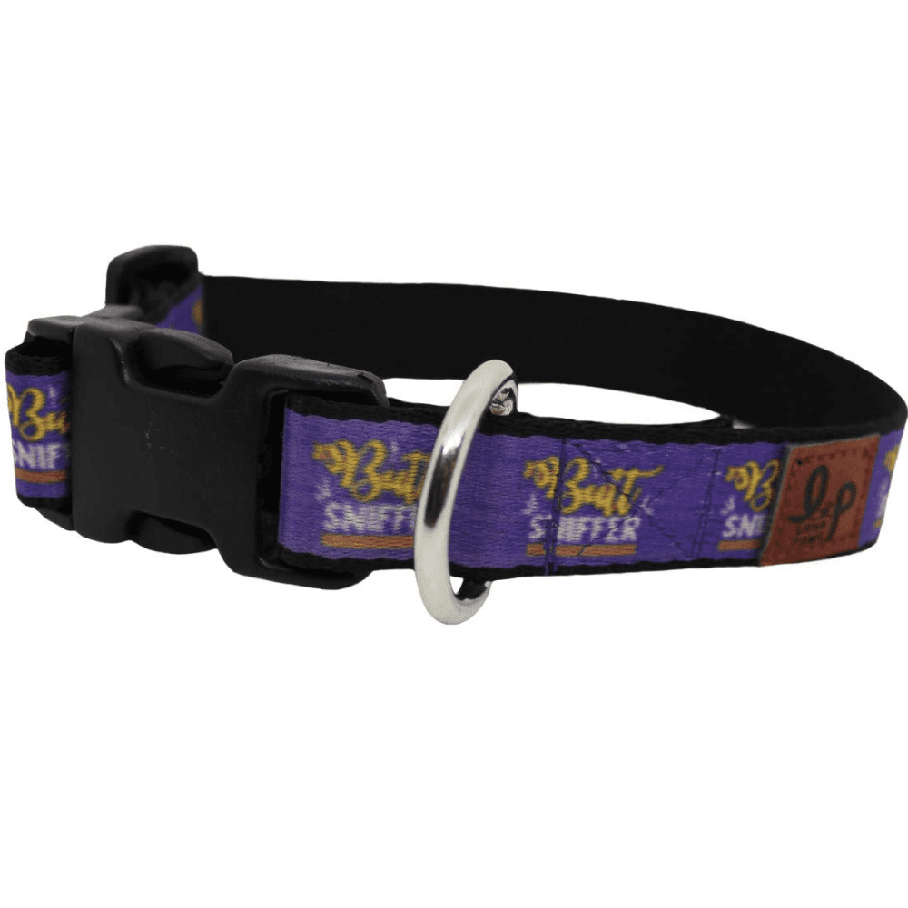 Lana Paws Butt Sniffer Dog Collar-Purple