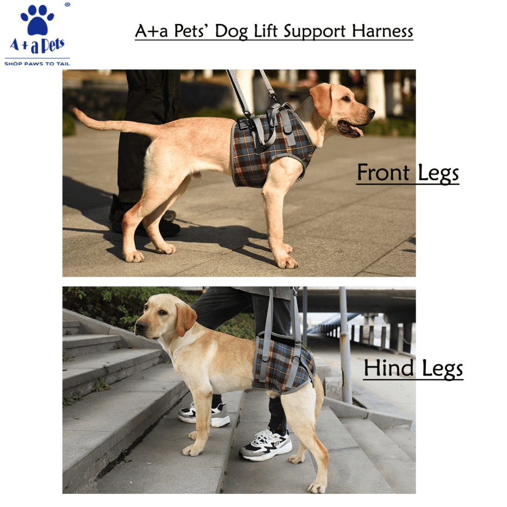 A Plus A Pets Lift Support Harness For Hind Legs for Dogs (Navy)