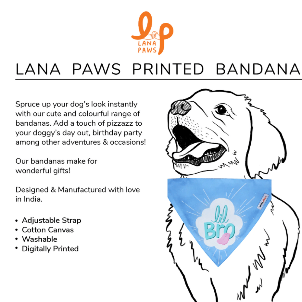 Lana Paws Little Bro Adjustable Bandana/Scarf for Dogs (Blue)
