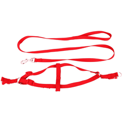 Emily Pets Leash And Harness Set for Dogs (Red)